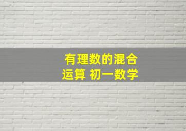 有理数的混合运算 初一数学